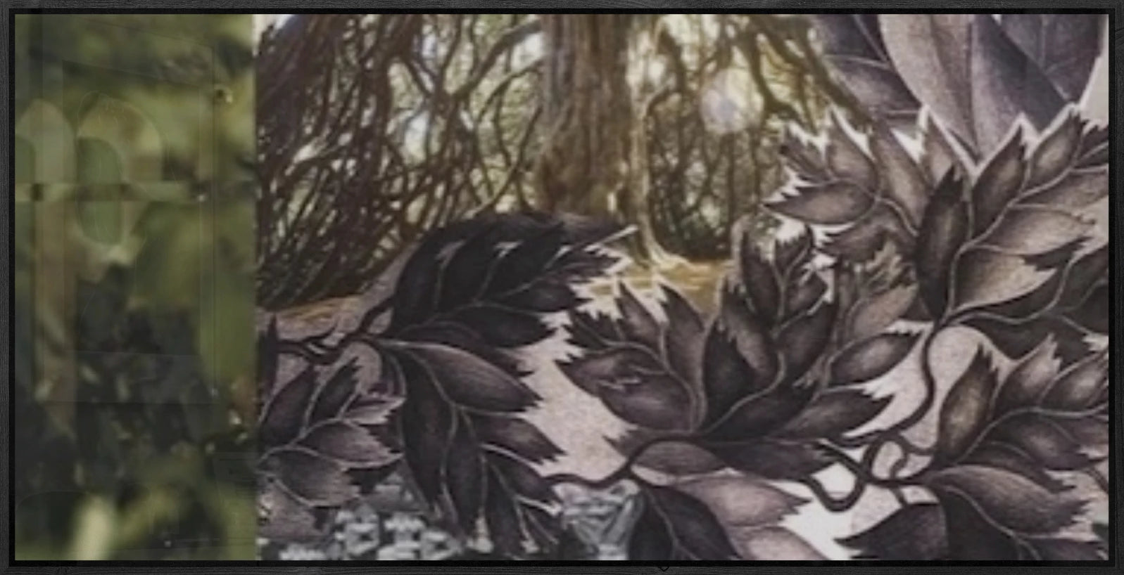 Magical forest back
